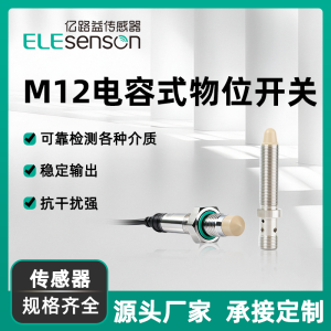 Capacitive Level Transmitter